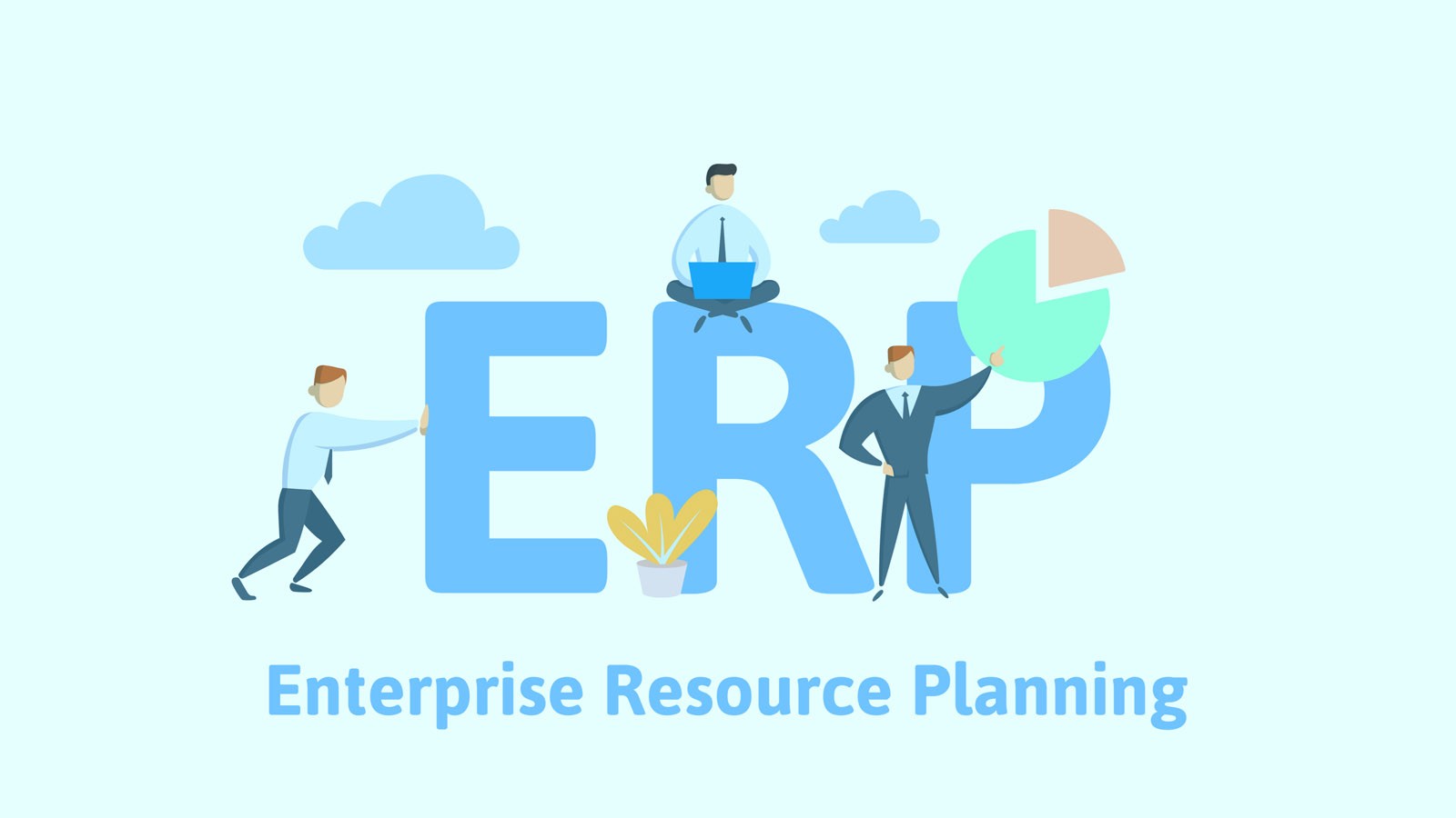 Planificación de los Recursos Empresariales